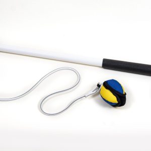 Flirt Pole with Lo Ball