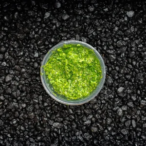 Duckweed | Lemna minor