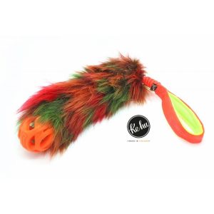 Ke-Hu Comet