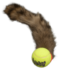 Bouncy Tail Ball