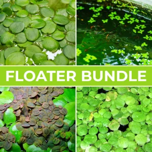 Floater Bundle