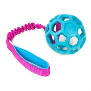 Holee Roller Bungee