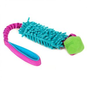 Mop Bungee with Chuckit Erratic Ball