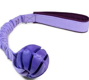 Spiral Ball Bungee